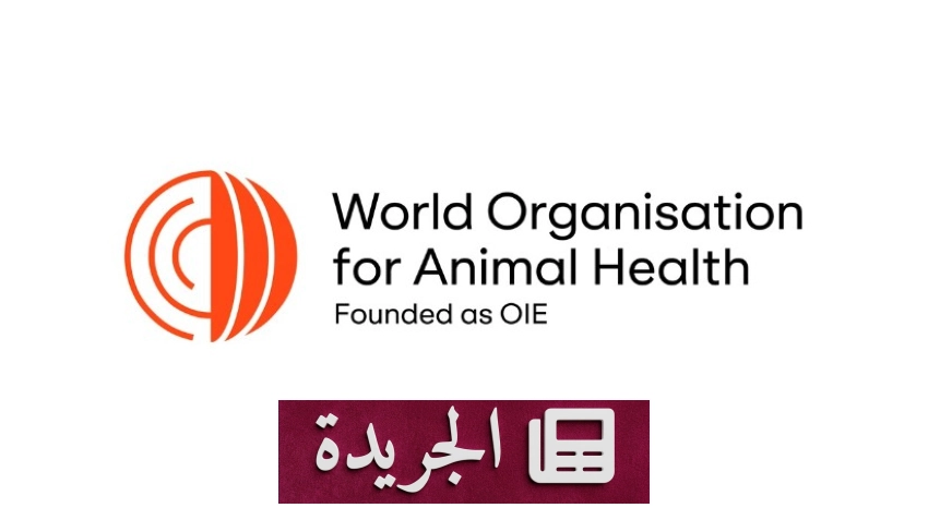 اعتماد برنامج السعودية لمكافحة داء السعار من المنظمة العالمية للصحة الحيوانية - آخر الأخبار - الجريدة