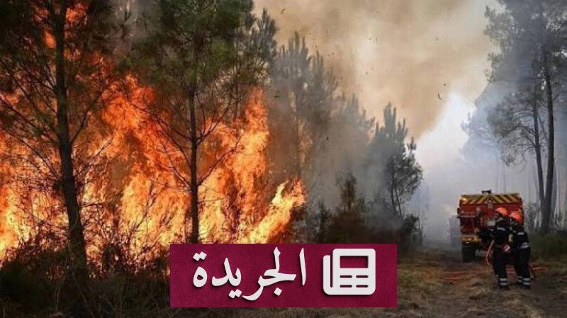 إجلاء جماعي في رينو بسبب حريق غابات يهدد المدينة - آخر الأخبار - الجريدة