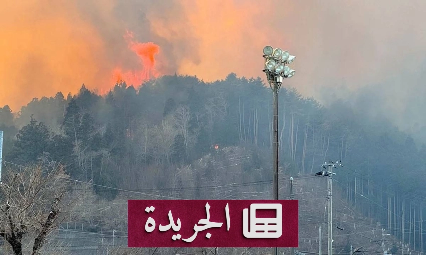 إخماد أكبر حريق غابات في اليابان بعد 11 يوماً من القتال - أخبار أونلاين