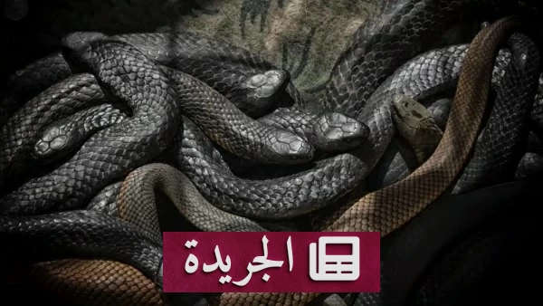 اكتشاف 27 ثعبانا داخل خزان مياه منزلي بالهند - آخر أخبار الجريدة