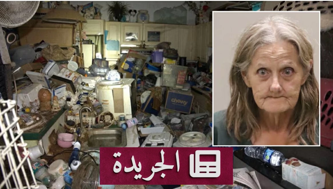 اكتشاف 92 حيوانا في منزل بفلوريدا.. 80 قطة و12 كلبا - آخر الأخبار - الجريدة