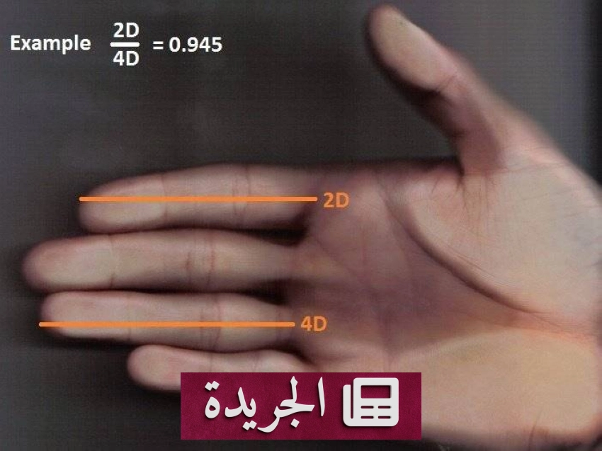 اكتشاف علمي يربط بين أصابع المواليد وحجم أدمغتهم - أخبار أونلاين