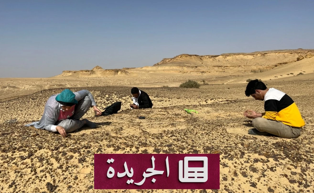 اكتشاف أثري مصري يعيد كتابة تاريخ تطور القردة العليا - أخبار أونلاين