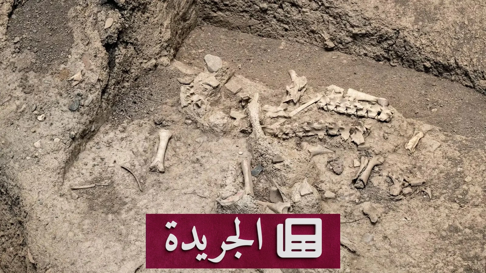 اكتشاف بقايا بشرية في ضواحي مراكش وسط شبهات ظروف غير طبيعية - آخر الأخبار - الجريدة