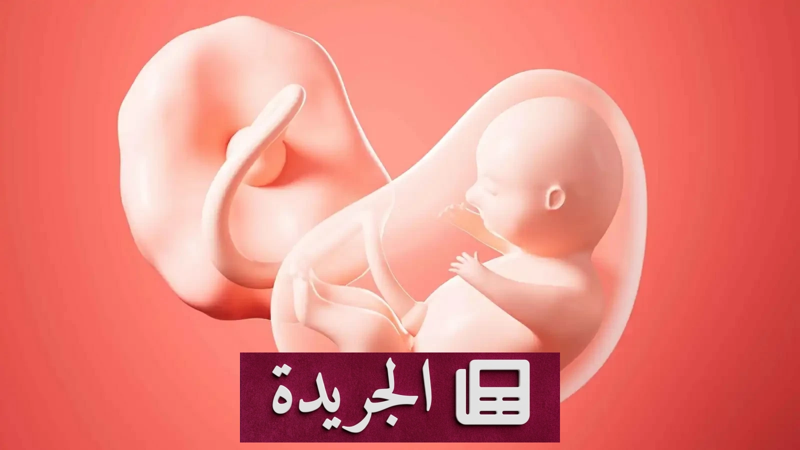 اكتشاف شبكة دولية لتهريب المشيمات البشرية من باكستان إلى آسيا - آخر الأخبار - الجريدة