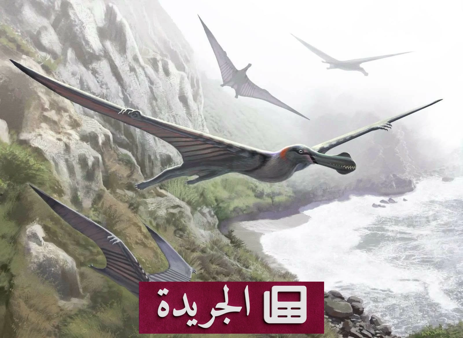 اكتشاف تاريخي في مصر.. أول دليل حفري للزواحف الطائرة بعد 95 مليون سنة - آخر الأخبار - الجريدة