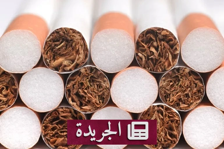 اكتشاف ثوري.. التبغ يصبح مصنعا للبروتين الحيواني - آخر الأخبار - الجريدة