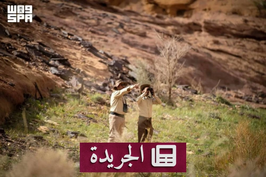 العلا تتخذ خطوات جادة لمكافحة التصحر في اليوم العالمي للبيئة - آخر الأخبار - الجريدة