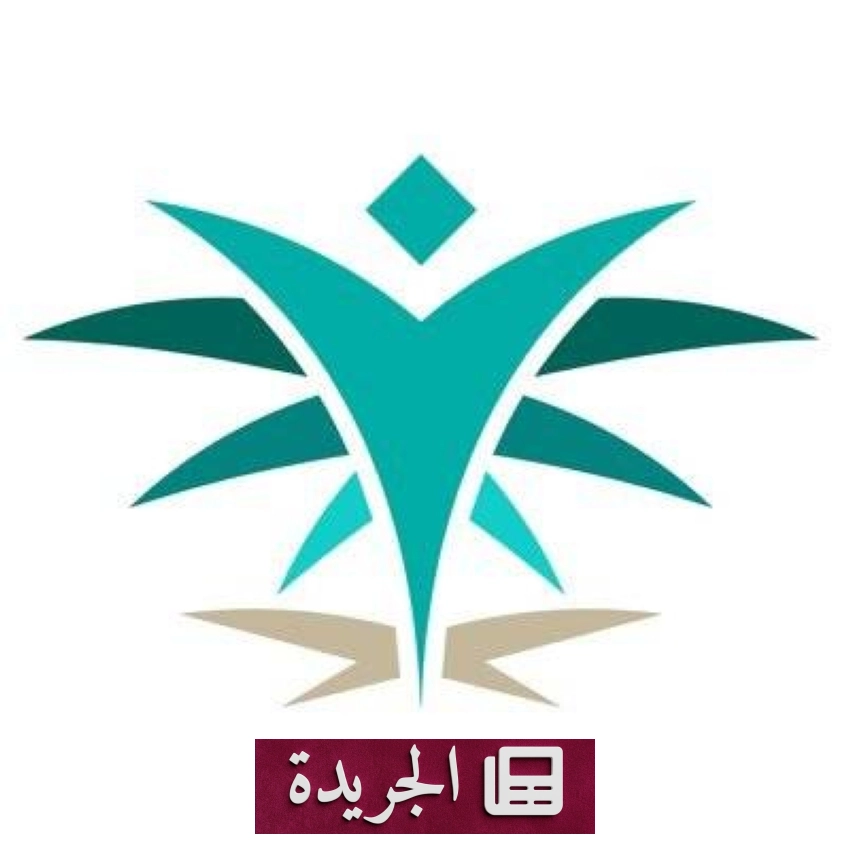 الأكاديمية السعودية اللوجستية تفتح باب التسجيل للدفعة الرابعة عشرة من برنامج الدبلوم التدريبي والمبتدئ بالتوظيف - أخبار أونلاين