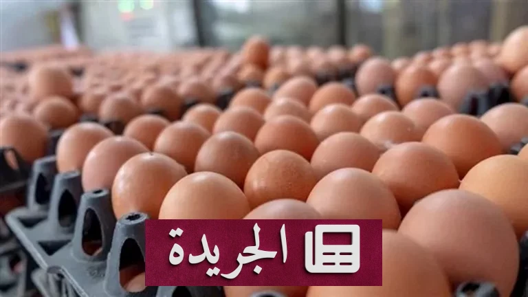 الانخفاض المفاجئ لأسعار البيض: ما وراء التقلبات الاقتصادية التي تعصف بالأسواق المحلية - أخبار أونلاين