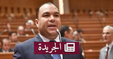 "الأسرة المصرية: حصن الاستقرار.. كيف تحمي الوطن من التحديات؟" - آخر أخبار الجريدة