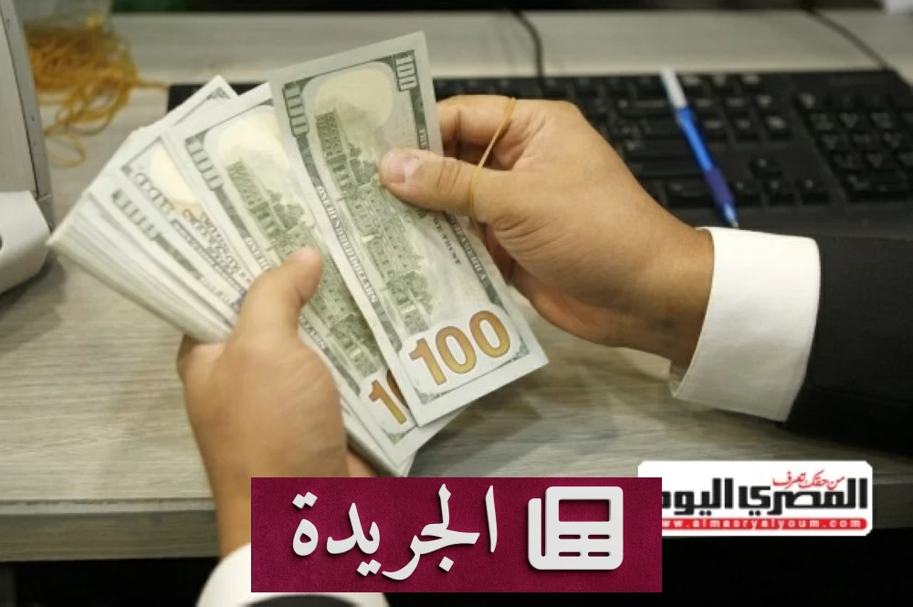 الاستقرار النقدي: ما وراء ثبات سعر الدولار أمام الجنيه المصري في 2026 - أخبار أونلاين