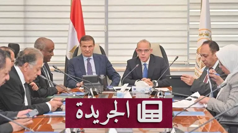 **الاستثمار المصري في إفريقيا: رؤية استراتيجية لتبني الأمن الغذائي وتوسيع الأسواق** - أخبار أونلاين