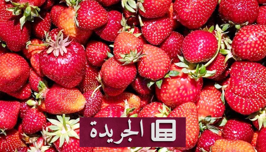 الأطعمة الأكثر تلوثاً بالمبيدات.. قائمة تحذيرية من 12 نوعاً تهدد الصحة - أخبار أونلاين