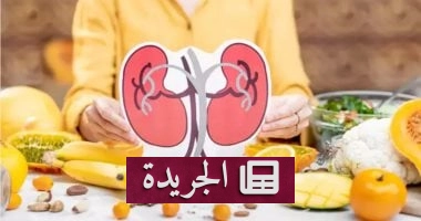 البروتين بين الفوائد الصحية والأخطار المخفية: كيف تحمي نفسك من أضراره على الكلى؟ - أخبار أونلاين
