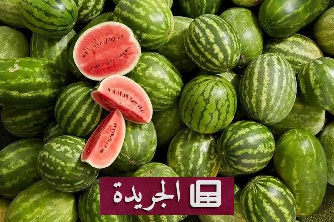 البطيخ يتصدر الفواكه الصيفية بإنتاج يتجاوز 620 ألف طن سنوياً - آخر الأخبار - الجريدة