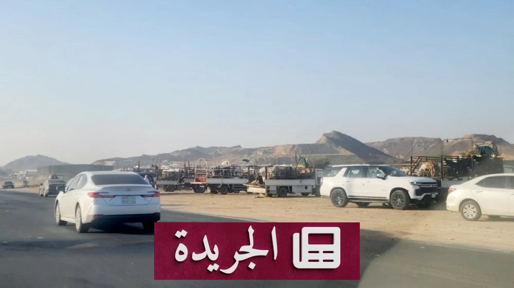 الفوضى في حي المحاميد بجدة.. متى تتدخل أمانة المدينة لإنقاذه؟ - أخبار أونلاين