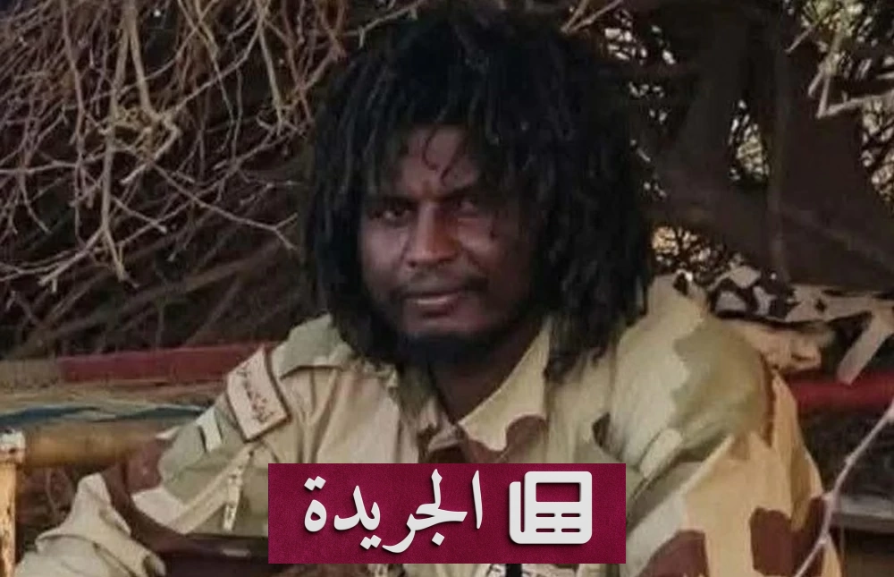 الجيش السوداني يستعيد مدناً استراتيجية ويقضي على قيادي بارز في الدعم السريع - آخر الأخبار - الجريدة