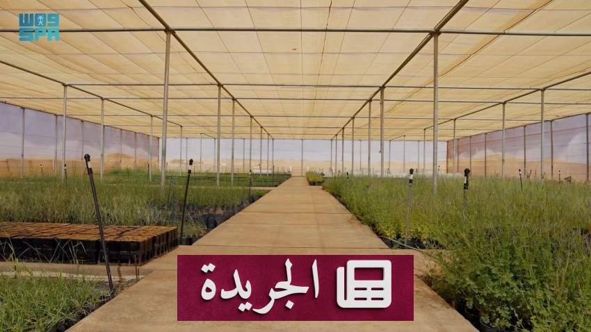 الهيئة الملكية بالعلا تطلق مبادرة رائدة لحماية التنوع الحيوي بإنشاء مشتل وبنك للبذور - أخبار أونلاين