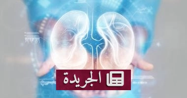 **الكلية تحت التهديد: 5 مشروبات طبيعية تحميها وتزيل السموم**