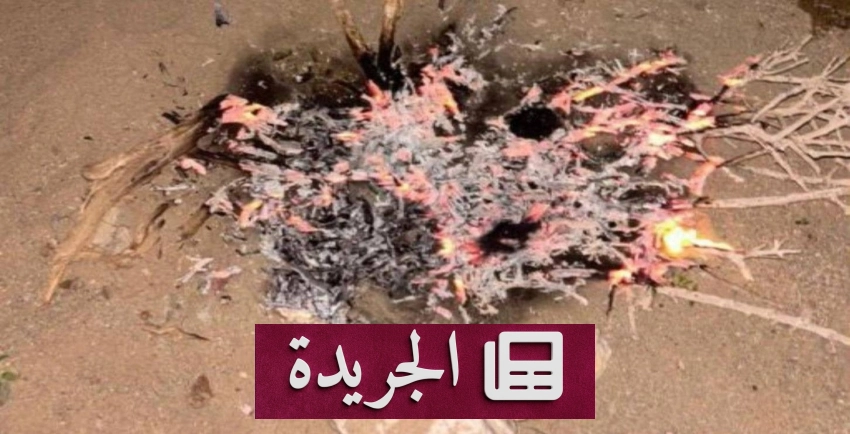 القوات الخاصة للأمن البيئي تضبط مخالفًا بإشعال النار في محمية الأمير محمد - آخر أخبار الجريدة