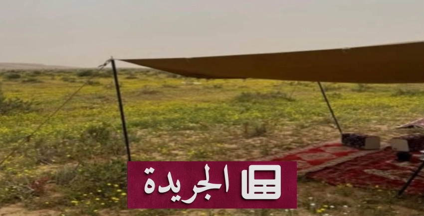 القوات الخاصة للأمن البيئي تضبط مخالفًا للتخييم في محمية الملك عبدالعزيز - آخر الأخبار - الجريدة