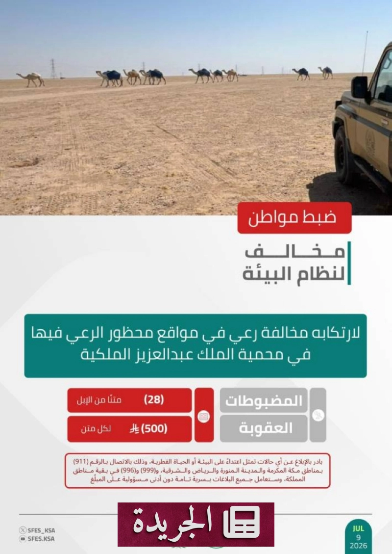 القوات الخاصة للأمن البيئي تضبط مخالفا لرعي الإبل في محمية الملك عبدالعزيز - آخر الأخبار - الجريدة