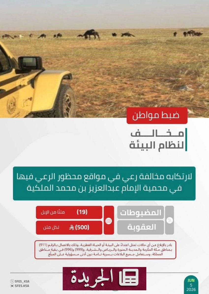 القوات الخاصة للأمن البيئي تضبط مخالفًا رعى 19 من الإبل في محمية ملكية - أخبار أونلاين