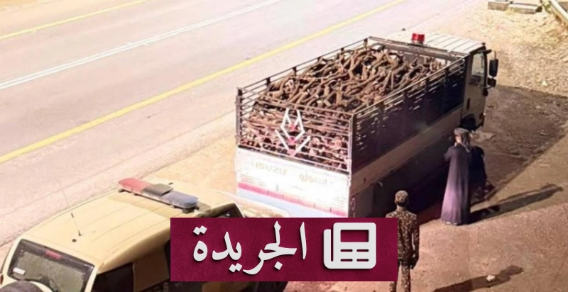 القوات المسلحة تحذر من نقل الحطب والفحم المحلي دون ترخيص - آخر الأخبار - الجريدة
