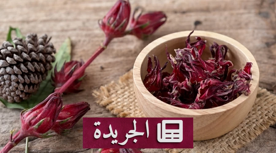 الكركديه بين الفوائد العلمية والمبالغات الشعبية - آخر الأخبار - الجريدة