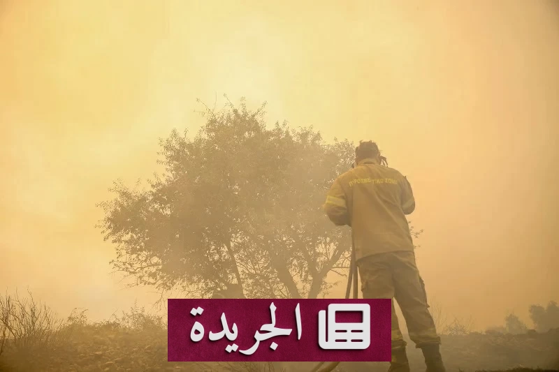 «المزرعة الملعونة» تقود مسؤولين بارزين إلى السجن 10 أعوام - آخر الأخبار - الجريدة