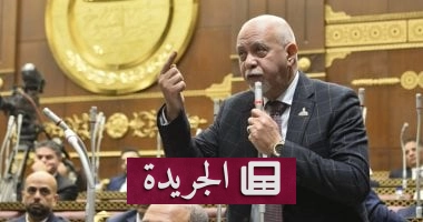 "الوحدة الوطنية.. الضمانة الحقيقية لاستقرار مصر في وجه التحديات الإقليمية والدولية"