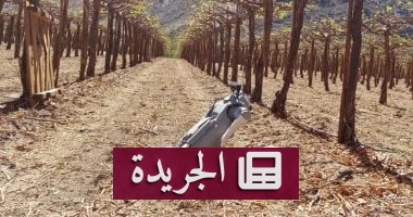 الروبوتات الزراعية: ثورة آلية تغيّر وجه الزراعة العالمية - أخبار أونلاين