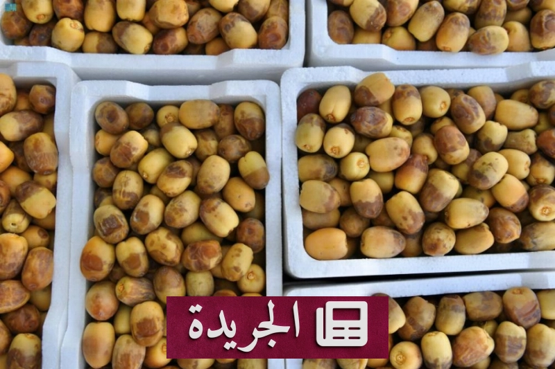 الروثانة تتصدر مبيعات الرطب في المدينة المنورة خلال موسم التمور - آخر أخبار الجريدة