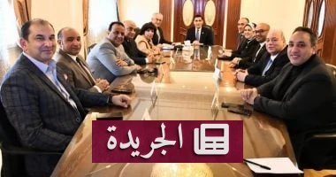 الرياضة البارالمبية في مصر: وزارة الشباب تعلن عن خطط جريئة لتطوير الأبطال - أخبار أونلاين