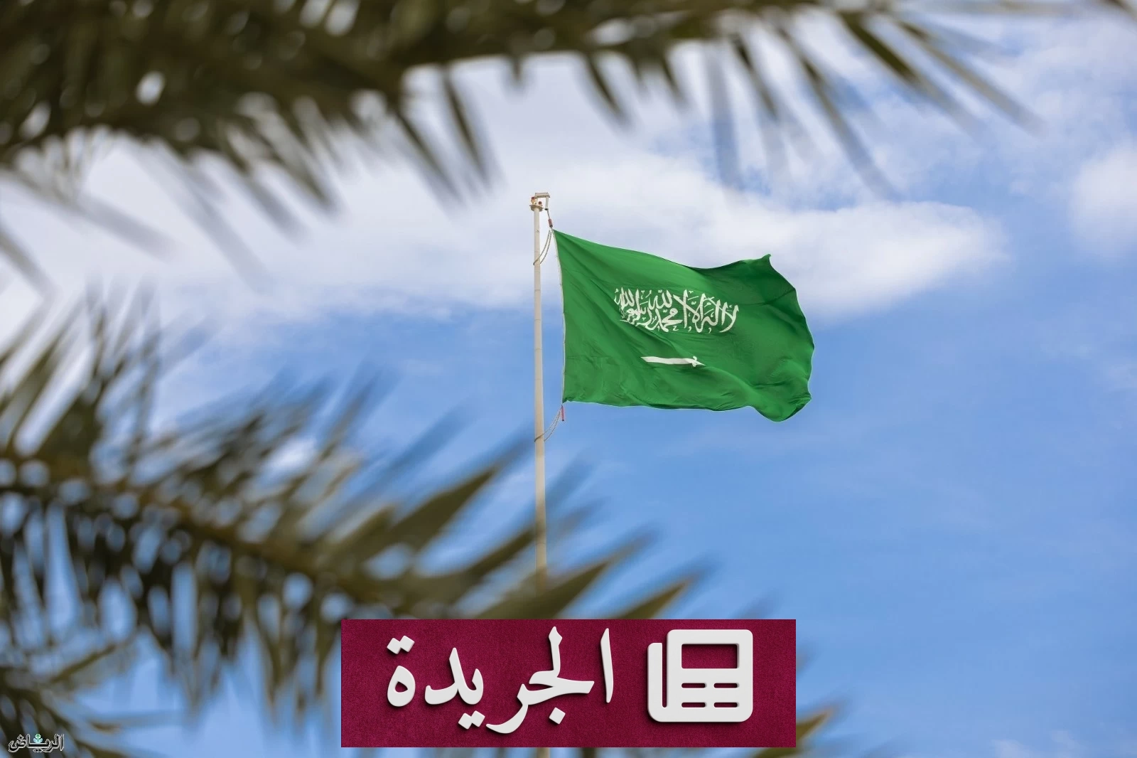 السعودية تقدم التعازي للجزائر إثر حادث مروري مأساوي في بومرداس - آخر الأخبار - الجريدة