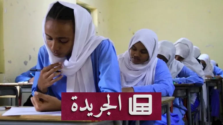 السناتر الوهمية: كابوس التعليم السوداني في مصر.. كيف تحول حلم الثانوية إلى فخ النصب - أخبار أونلاين