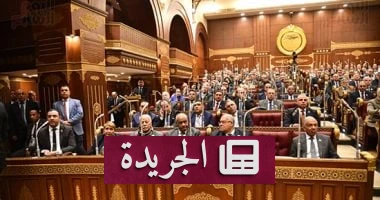 الصراع السوداني: مصر تدعم الجهود الدولية لتفادي تفاقم الأزمة وتهديد الأمن الإقليمي - أخبار أونلاين