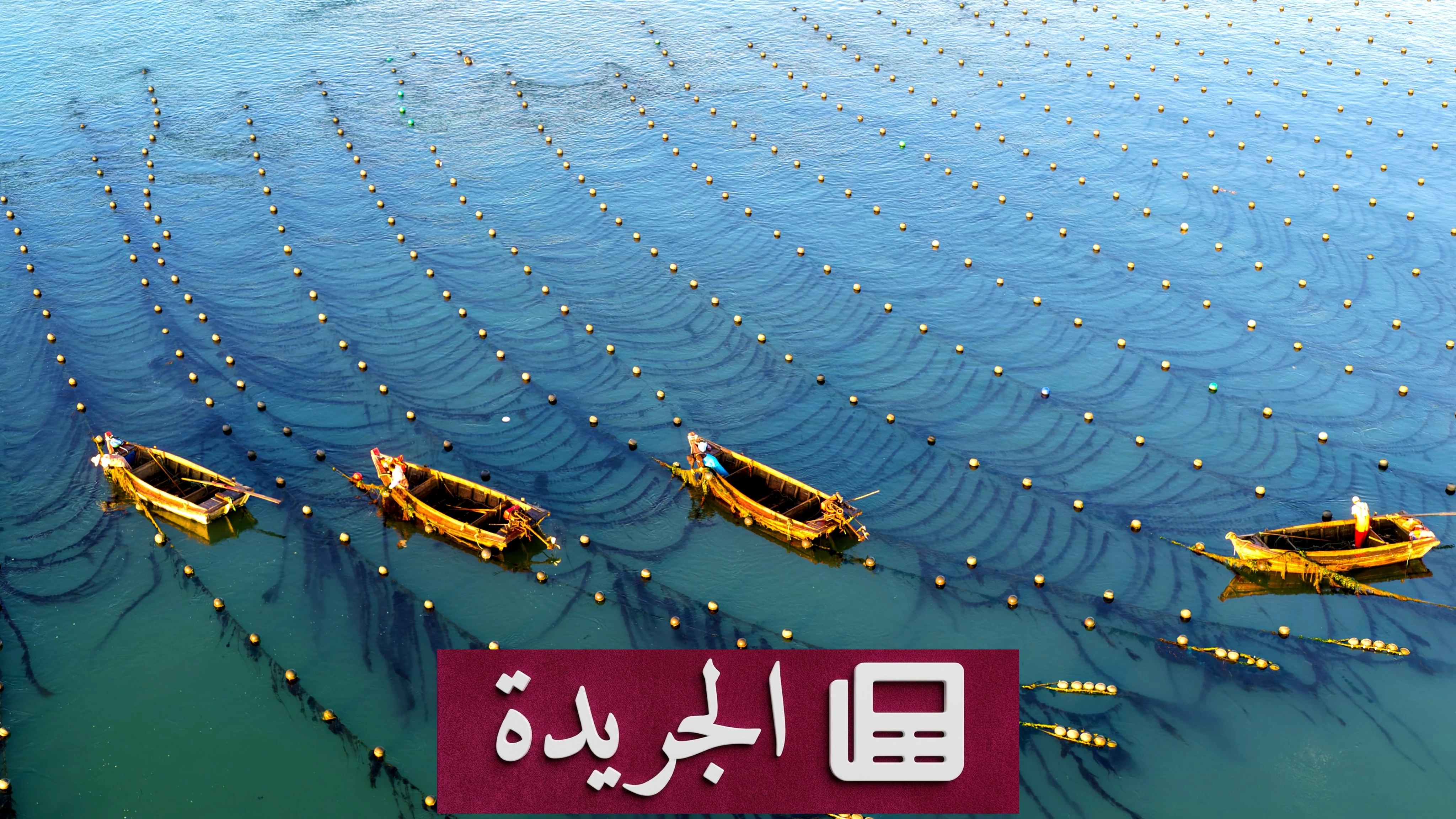الصين تتفوق في الاستثمار البحري بقطاع الاستزراع المائي - آخر الأخبار - الجريدة