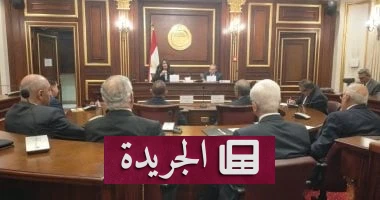 **الثقافة كدواء: وزيرة الثقافة تعلن حربًا شاملة على الفراغ الفكري وتكشف مخططًا جديدًا لاقتحام القرى** - أخبار أونلاين