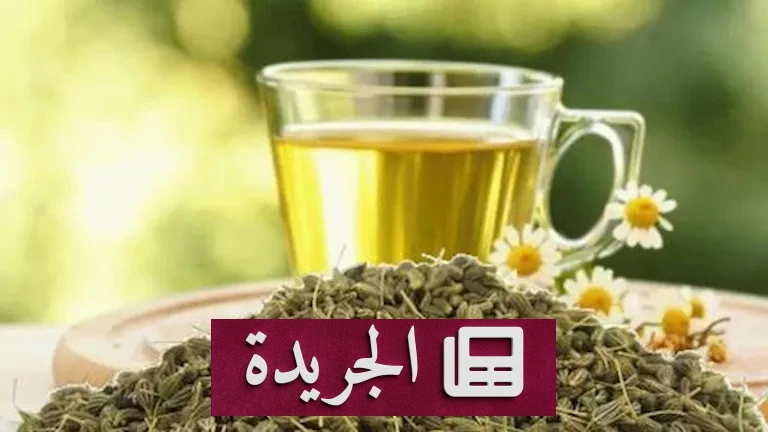 اليانسون والخصوبة: هل المشروب الشائع يهدد مستقبل الأبوة؟ تحليل علمي مفصل - أخبار أونلاين