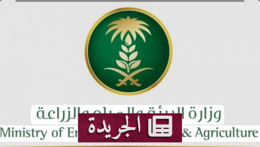 اليوم العالمي للبيئة دعوة عالمية لمواجهة التغير المناخي - آخر أخبار الجريدة
