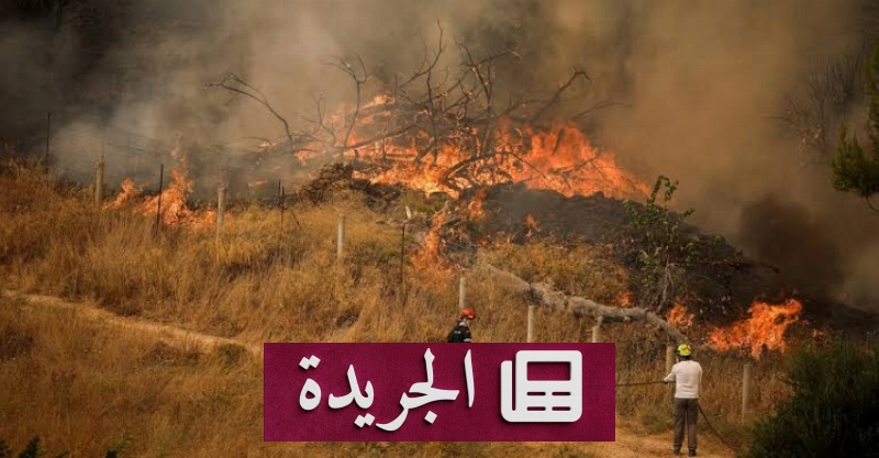 اليونان تعلن إخلاء مناطق بسبب حرائق غابات قرب أثينا - آخر الأخبار - الجريدة