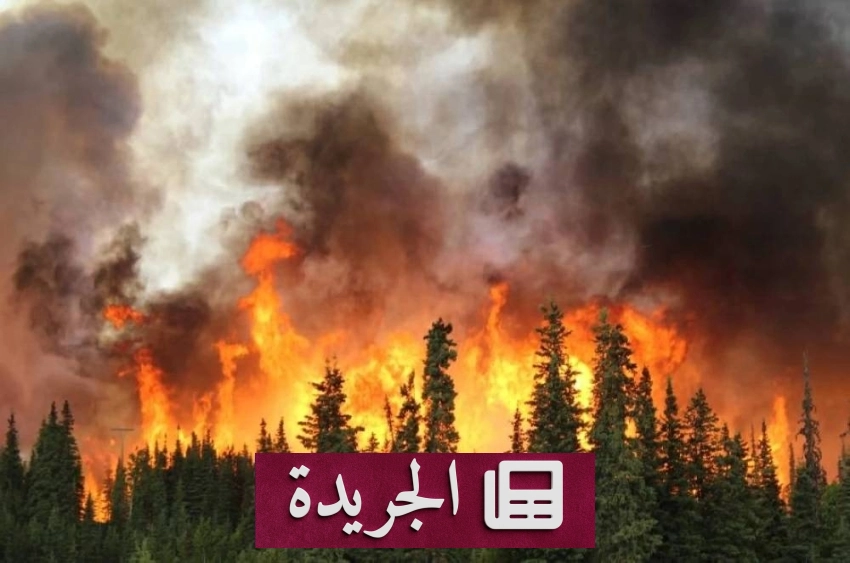 اندلاع حريق غابات كبير في جزيرة يونانية وإخلاء مناطق سكنية - آخر الأخبار - الجريدة