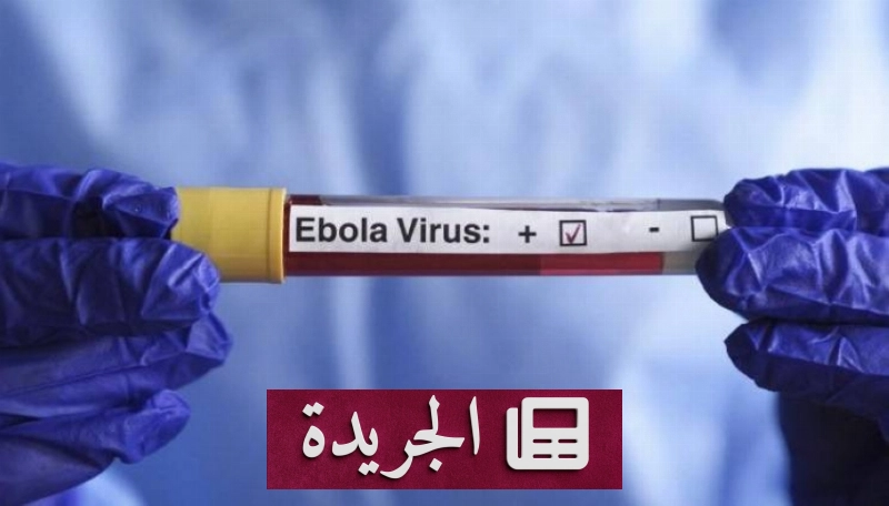 انضم إلى النشرة الإخبارية اليومية واحصل على آخر المستجدات في بريدك الإلكتروني