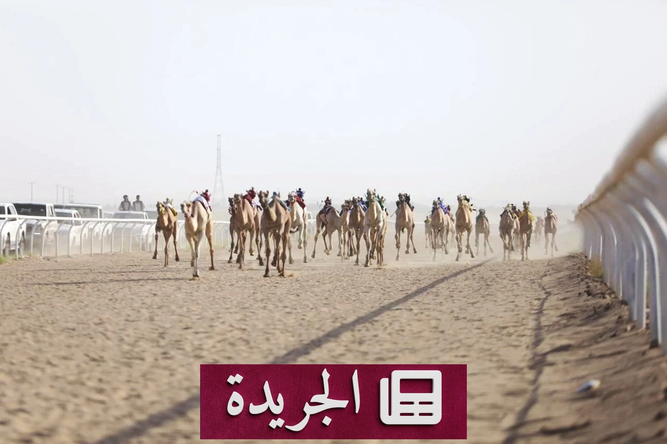 انطلاق سباقات الهجن في حائل بمشاركة ملاك الهجن - أخبار أونلاين