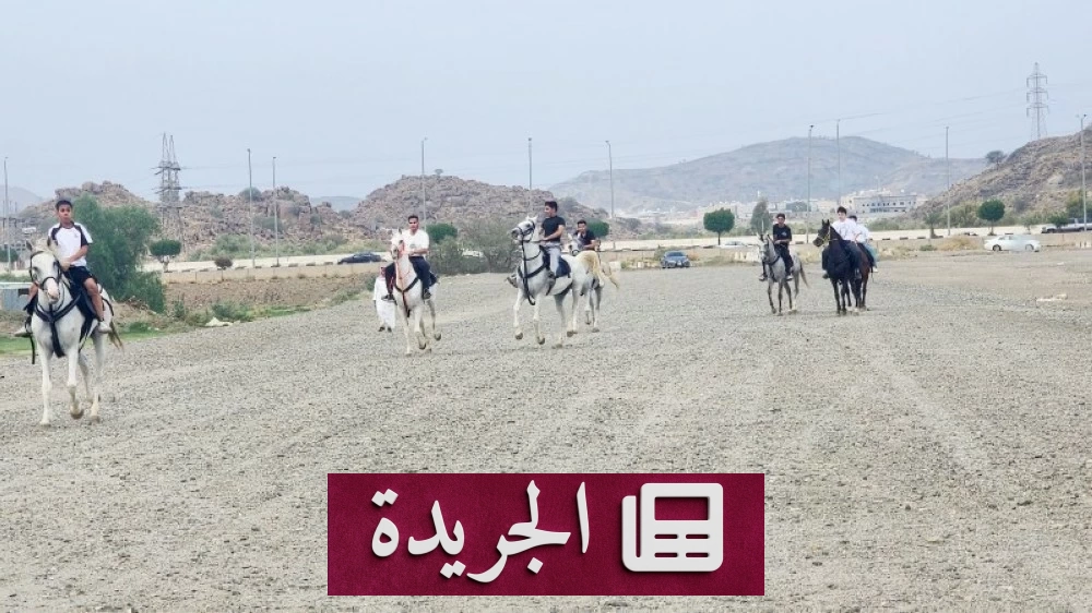 انتشار الحيوانات السائبة في أحياء الطائف يهدد سلامة السكان - أخبار أونلاين