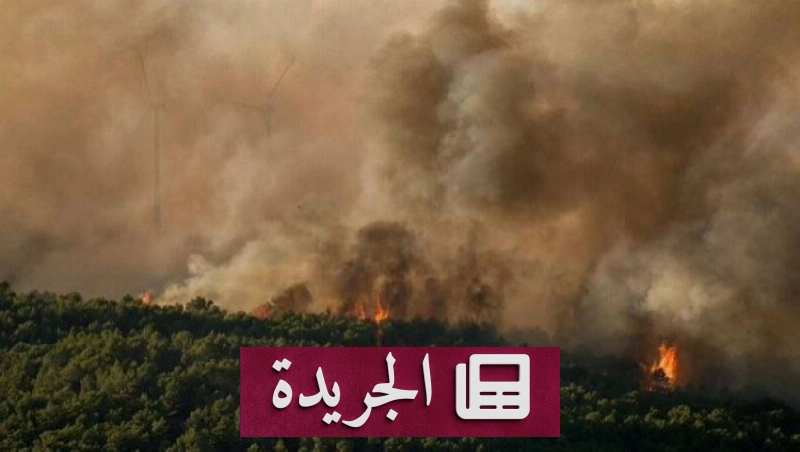 انتشار حرائق الغابات جنوب فرنسا وإجلاء السكان - آخر الأخبار - الجريدة