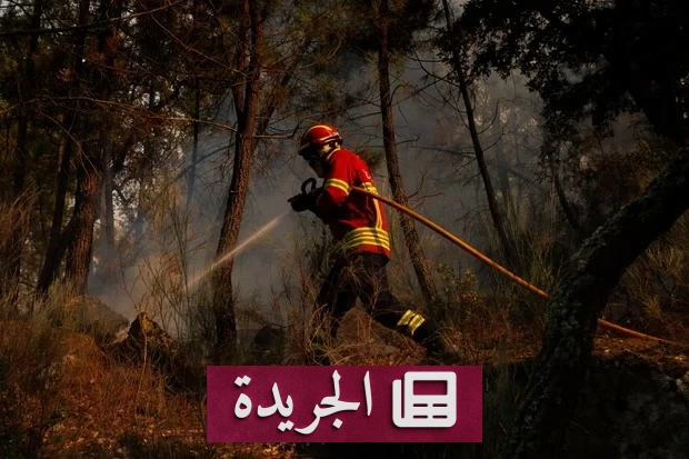 أوروبا على حافة كارثة حرائق الغابات مع ارتفاع حرارة الأرض - آخر الأخبار - الجريدة