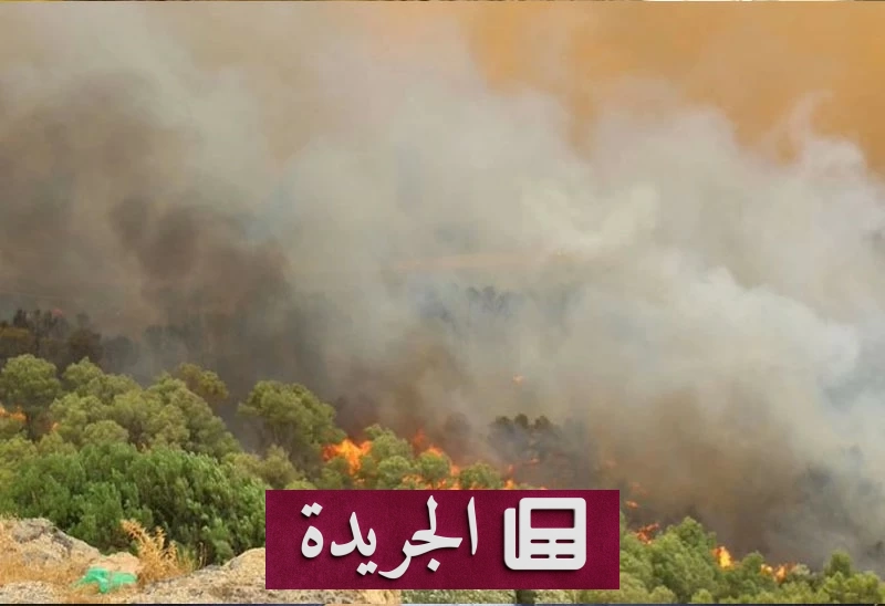 ارتفاع ضحايا حرائق الغابات في الجزائر إلى 73 قتيلا - آخر أخبار الجريدة